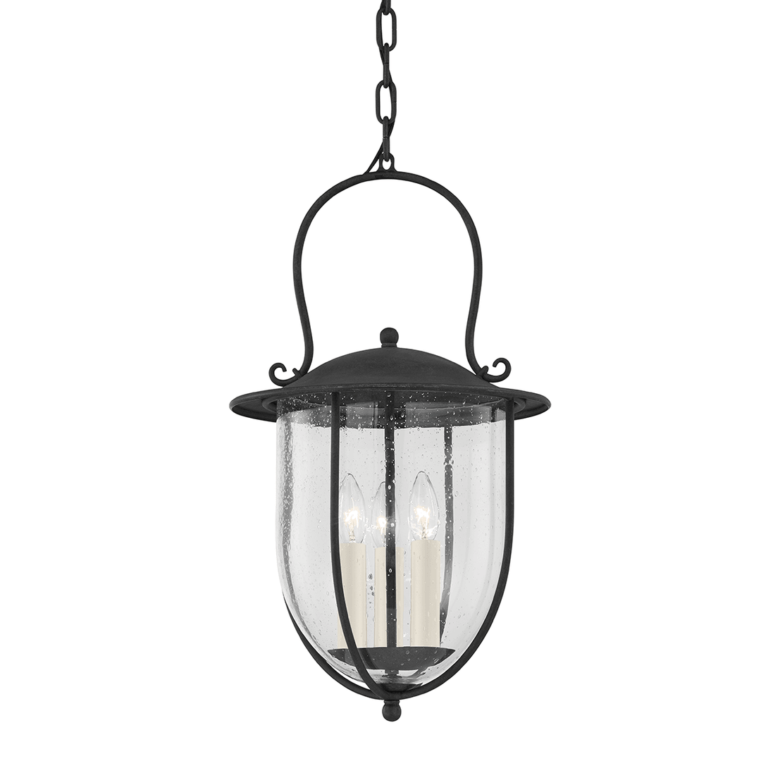 French Iron Curve Arm with Clear Seedy Glass Shade Outdoor Pendant - LV LIGHTING