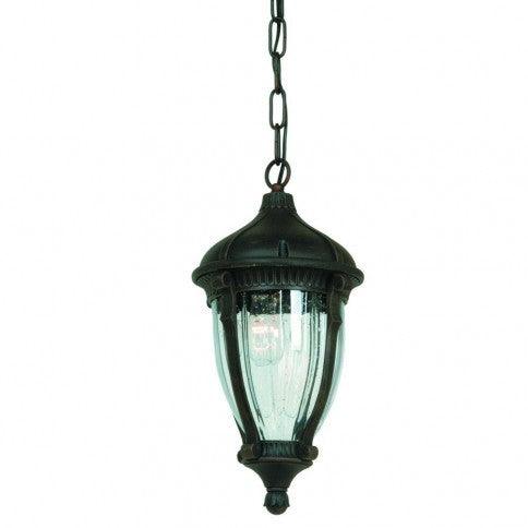 Black with Clear Bubble Glass Shade Outdoor Pendant - LV LIGHTING
