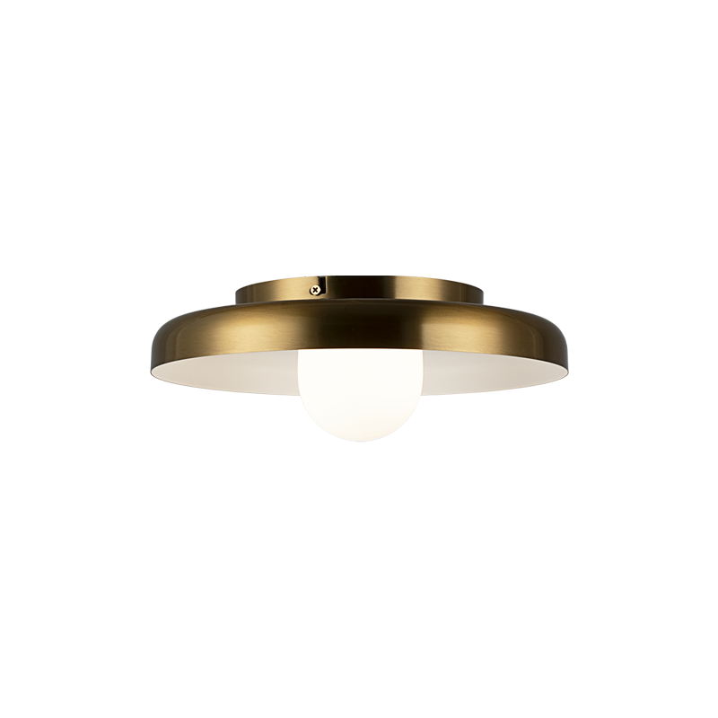 Steel Frame with Opal Glass Globe Diffuser Disk Flush Mount