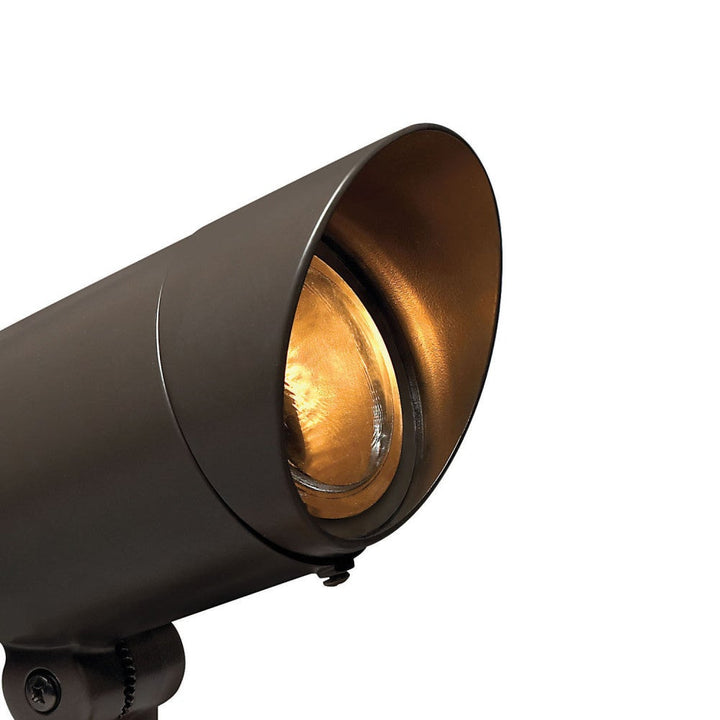 Accent Spotlight