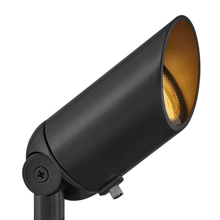Hardy Island Accent Spotlight