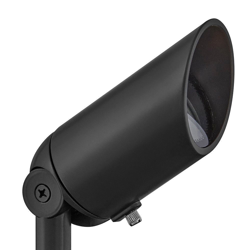 Accent Spotlight