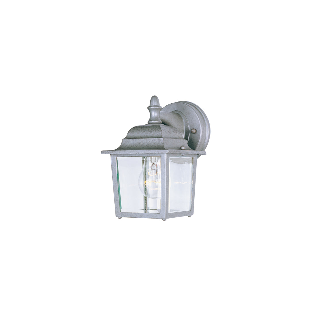 Builder Cast 1-Light Outdoor Wall Lantern PE