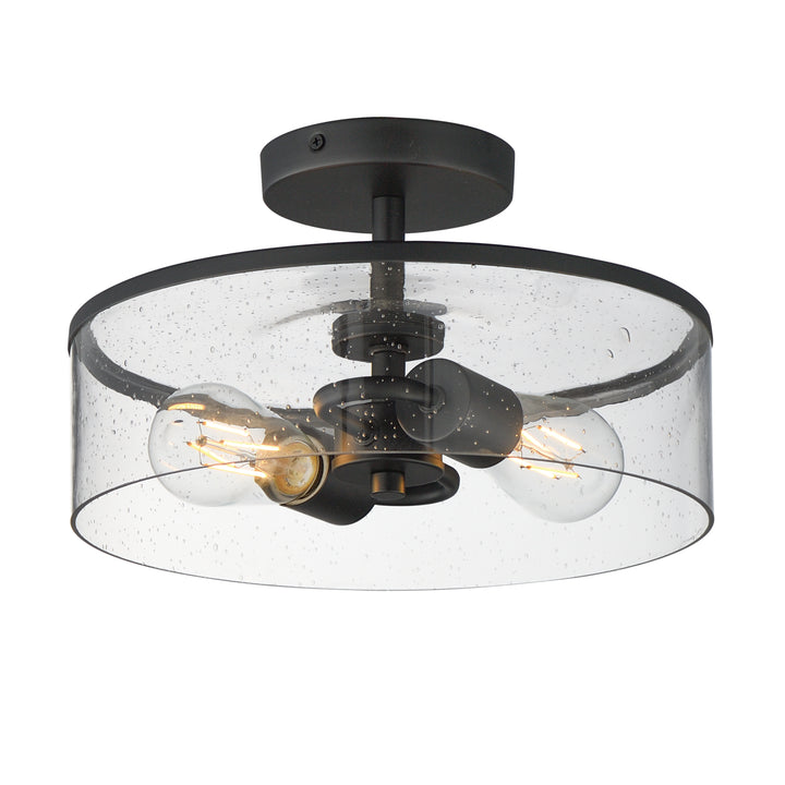 Livingston 2-Light Semi-Flush Mount Black