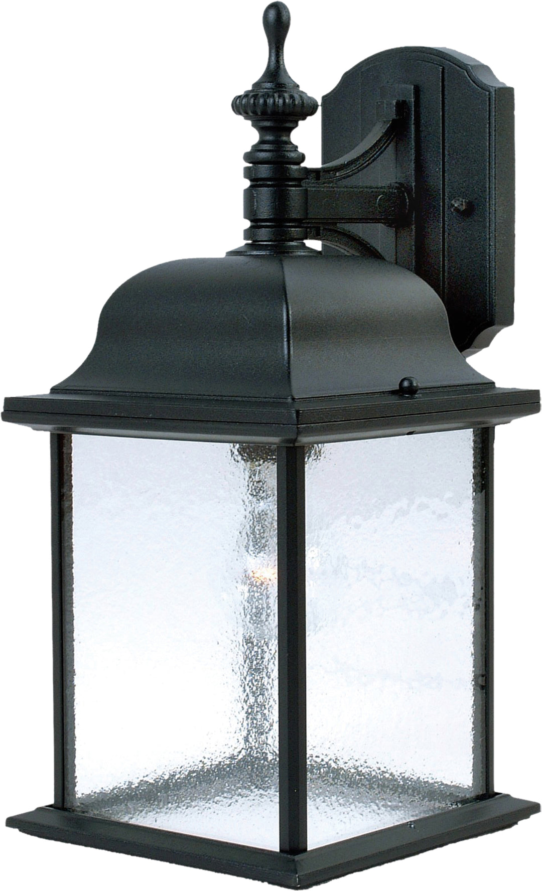 Senator 1-Light Outdoor Wall Lantern Black