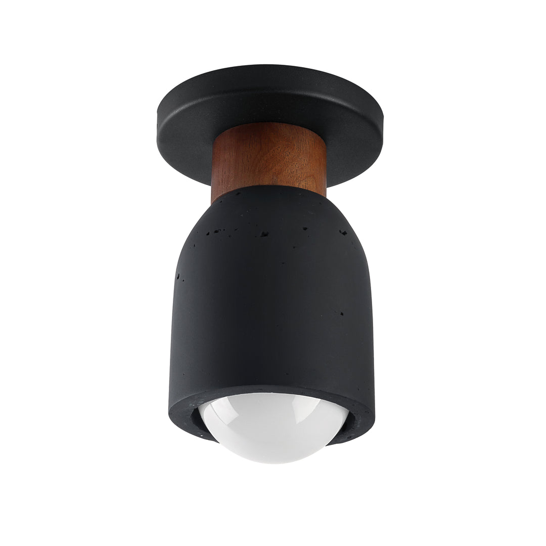 Pompeii 1-Light Flush Mount LVBK