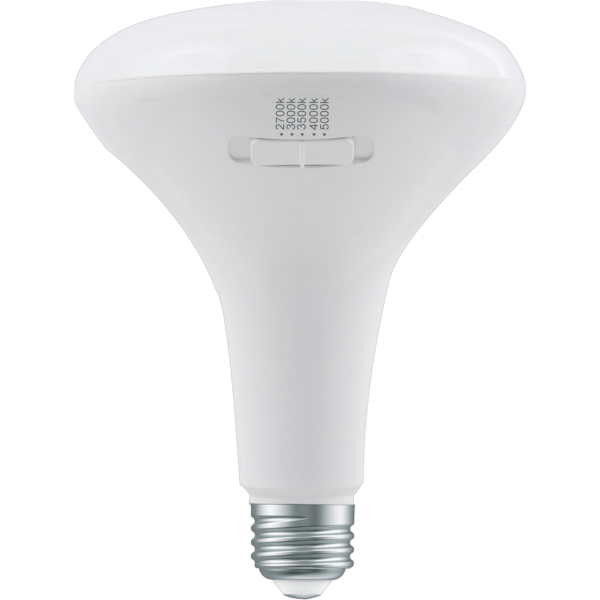 LED 8W BR30 Bulb - Dimmable