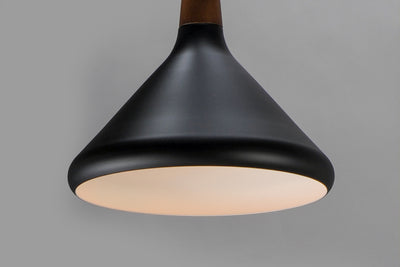 Black with Walnut Single Light Pendant