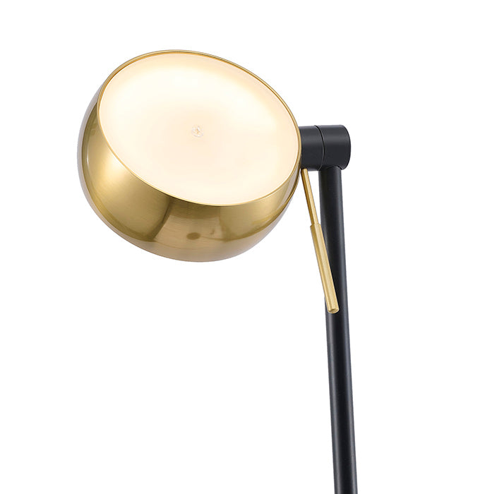 Black Satin Brass Crystal Floor Lamp by Bethel