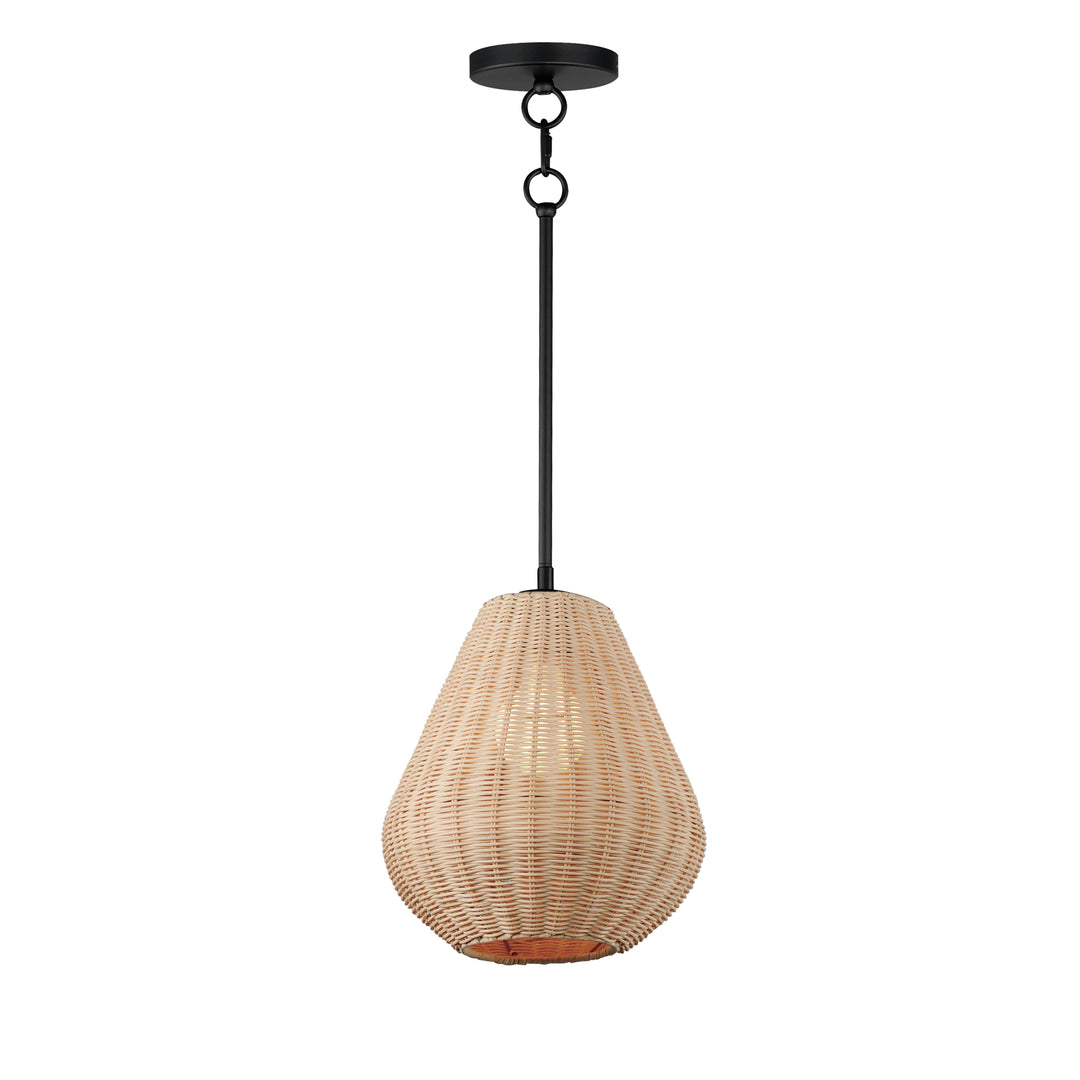 Maldives 1-Light Pendant NABK