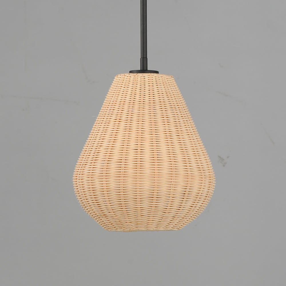 Maldives 1-Light Pendant NABK alternate view