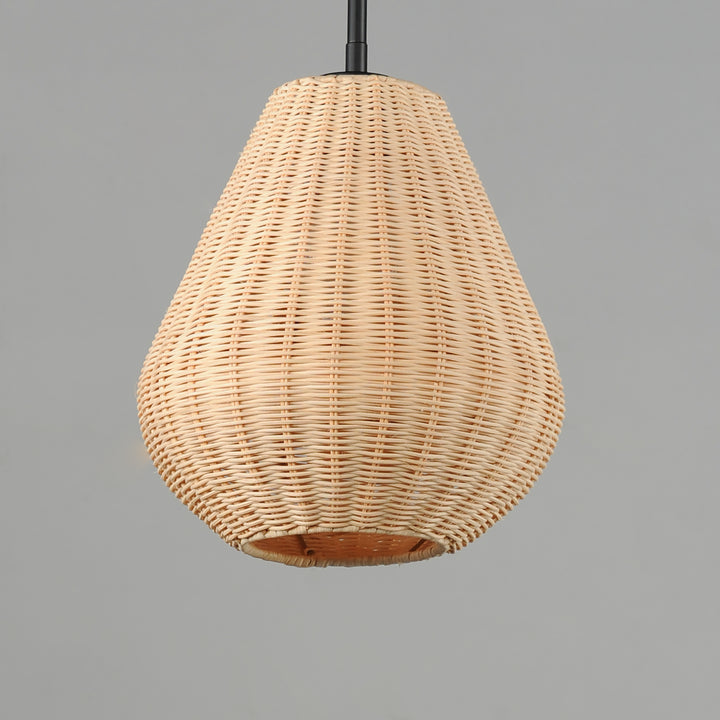 Maldives 1-Light Pendant NABK alternate view