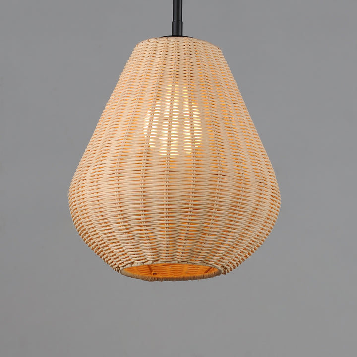 Maldives 1-Light Pendant NABK alternate view