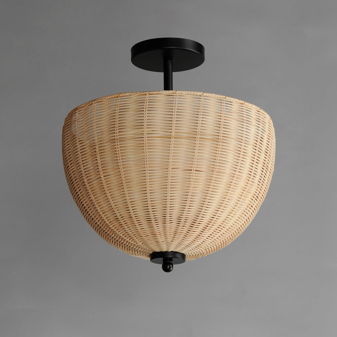 Maldives 2-Light Semi Flush/Pendant NABK alternate view