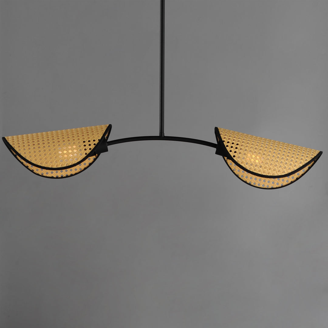 Bonnet 2-Light Chandelier NABK alternate view