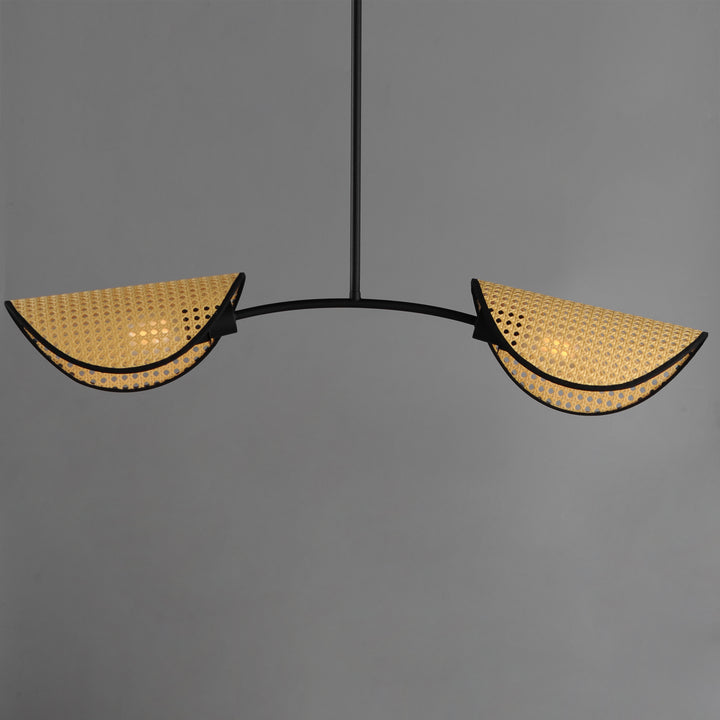 Bonnet 2-Light Chandelier NABK alternate view