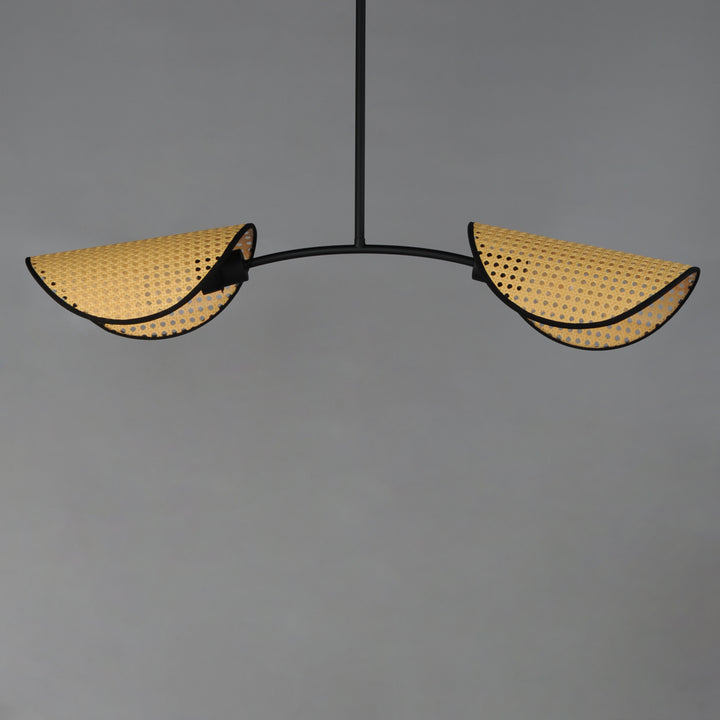 Bonnet 2-Light Chandelier NABK alternate view