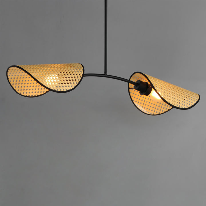 Bonnet 2-Light Chandelier NABK alternate view