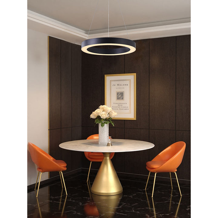 Halo Ring LED Light with Acrylic Diffuser by Bethel - view 42