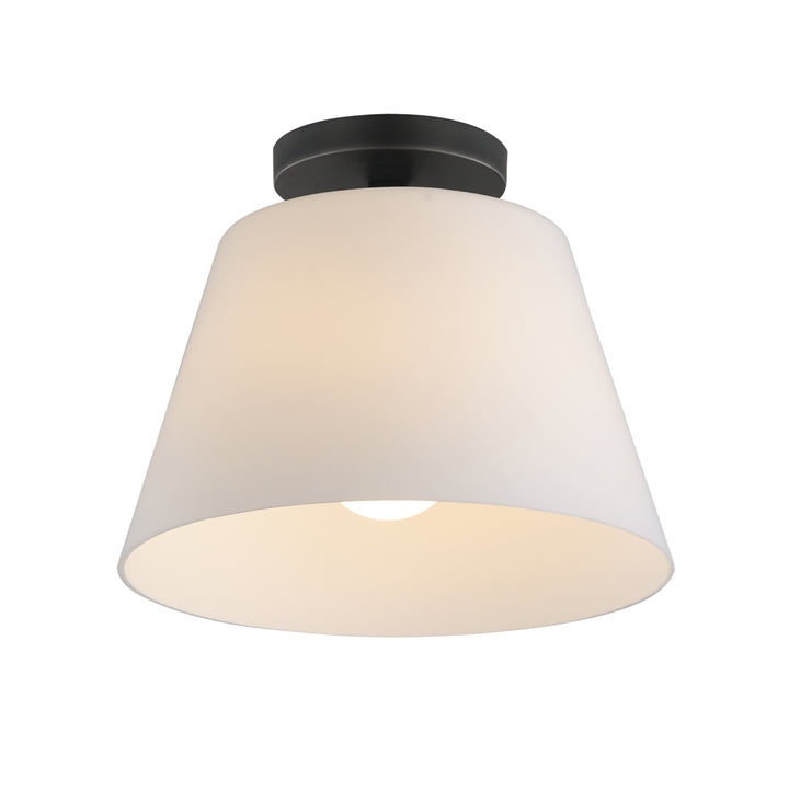 Hudson 1-Light Semi-Flush Mount/Pendant Black (SWBK)