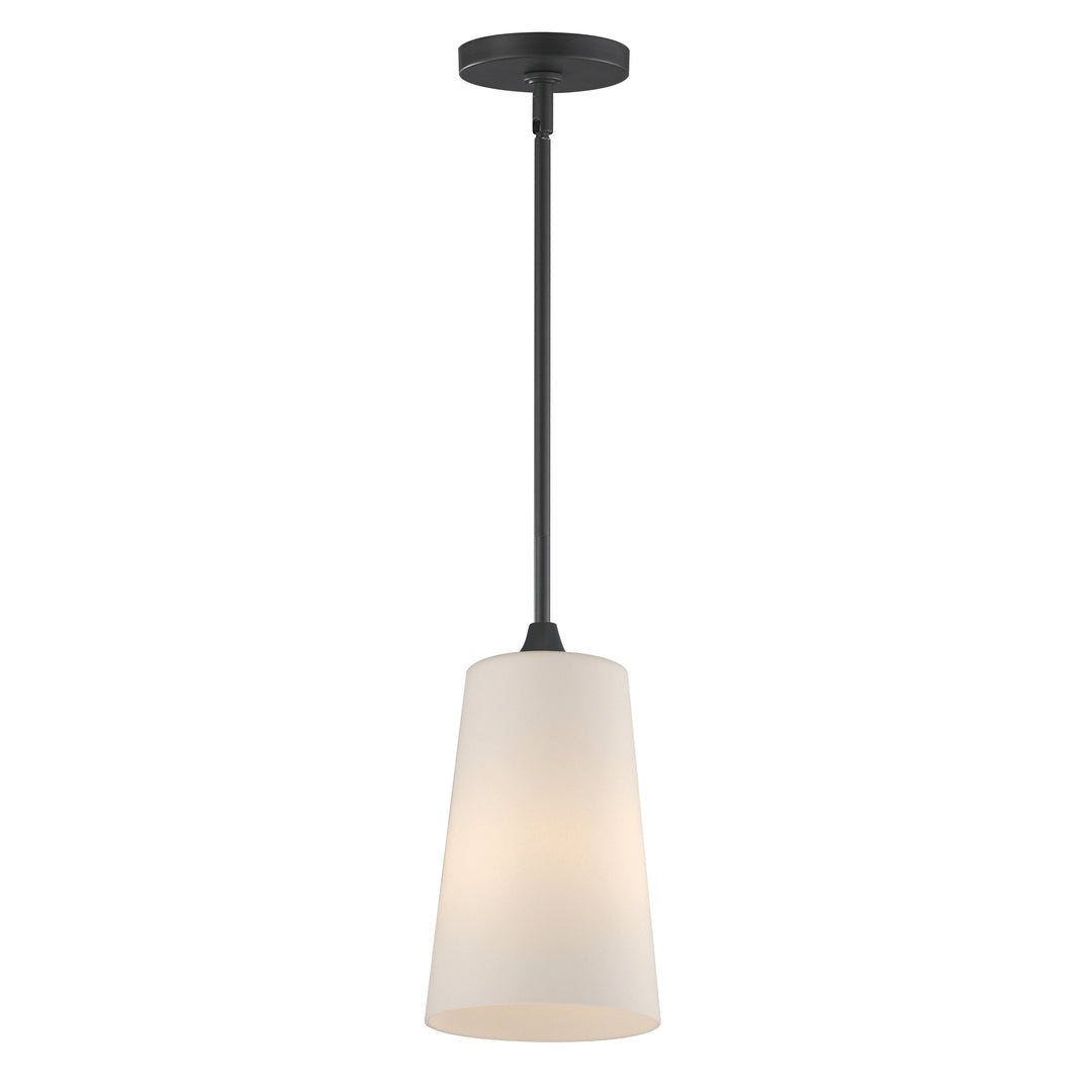 Hudson 1-Light Pendant Black