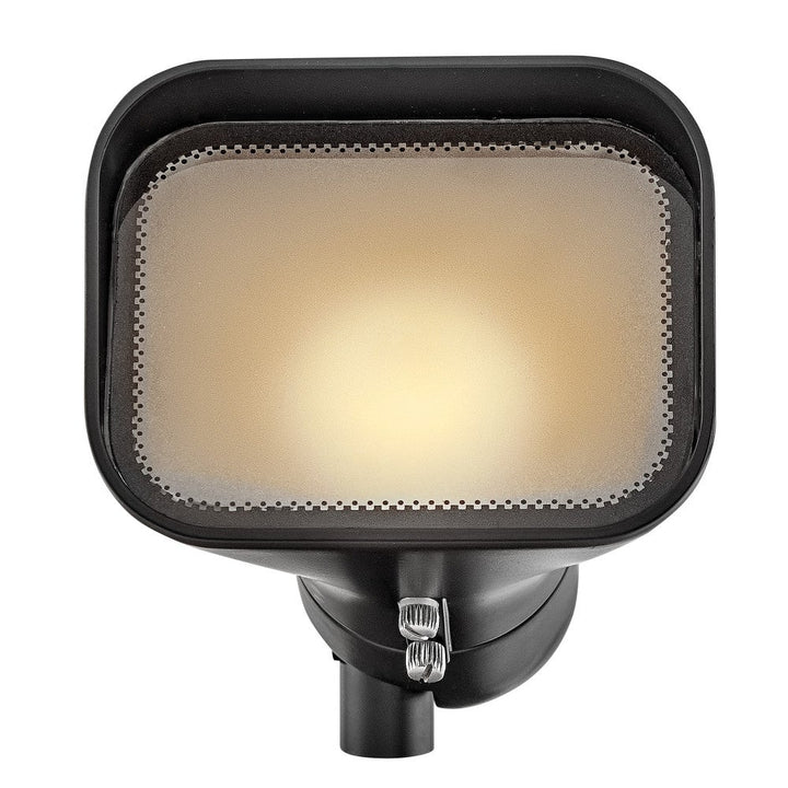 Accent Floodlight