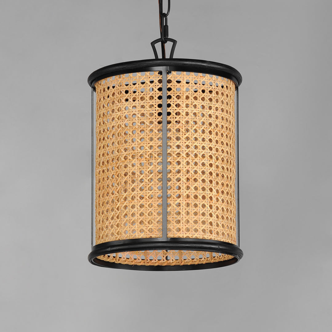 Cane 1-Light Pendant NABK alternate view