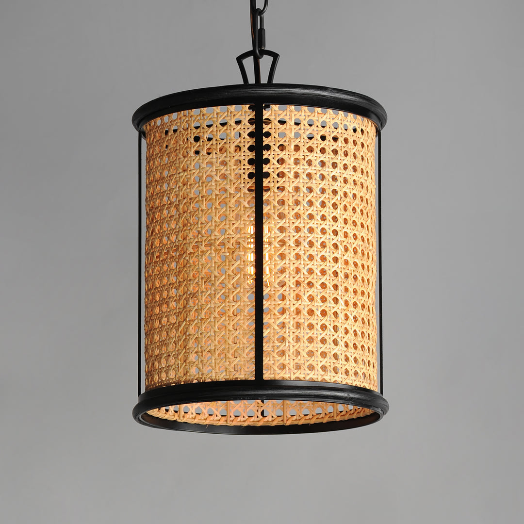 Cane 1-Light Pendant NABK alternate view