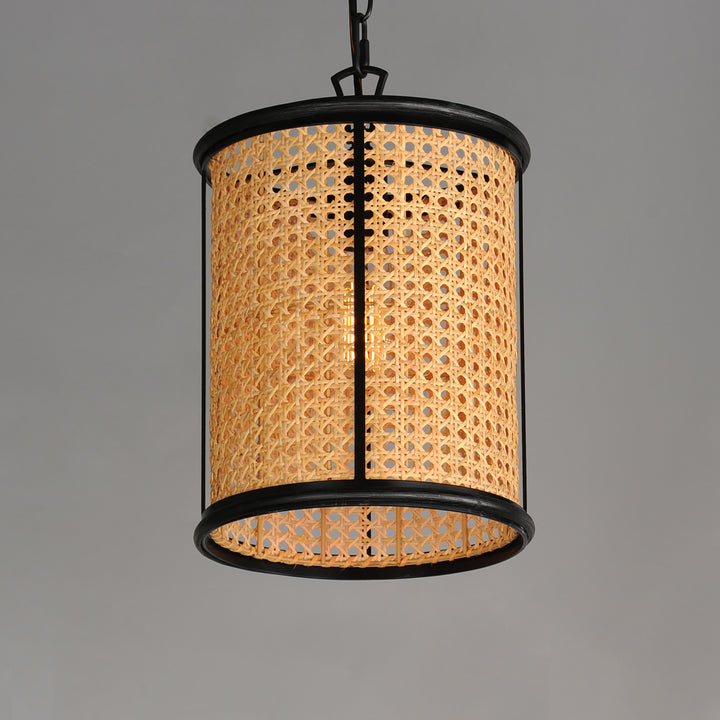 Cane 1-Light Pendant NABK alternate view