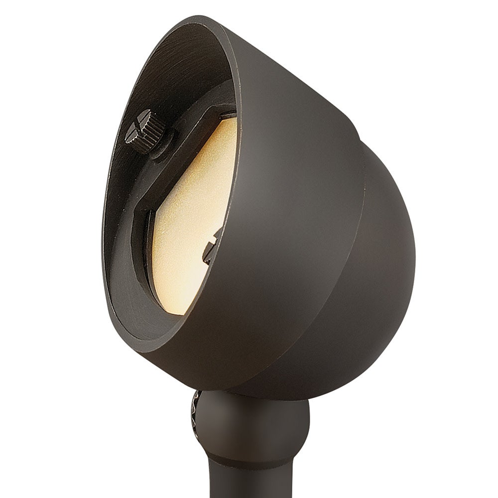 Hardy Island Accent Spotlight