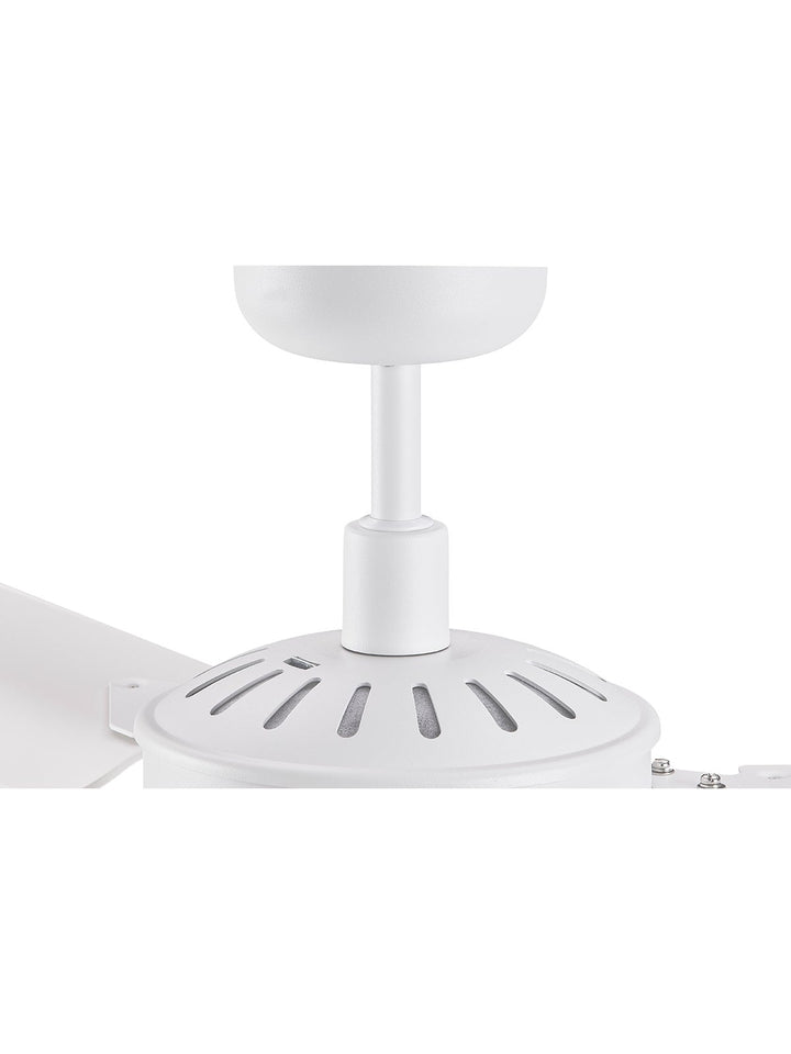 Lucci Air Carolina 56" Indoor/Outdoor Ceiling Fan