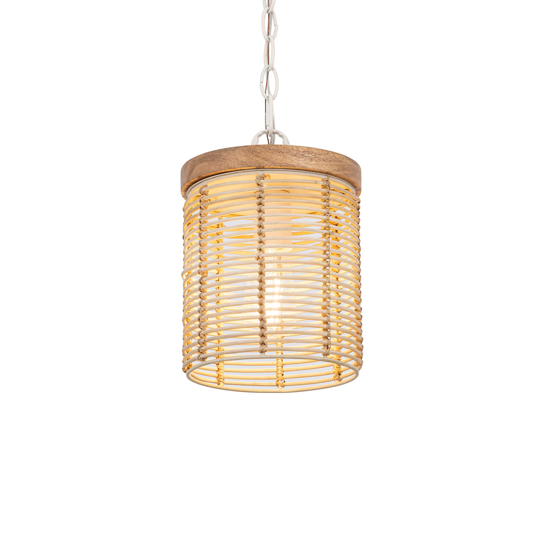 Vannerie 1-Light Large Pendant NAEC alternate view