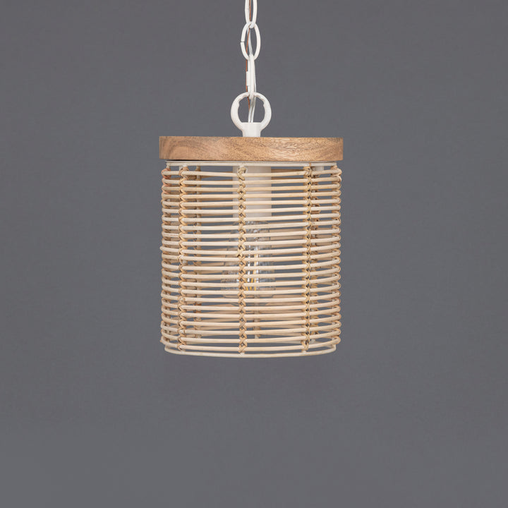 Vannerie 1-Light Large Pendant NAEC alternate view