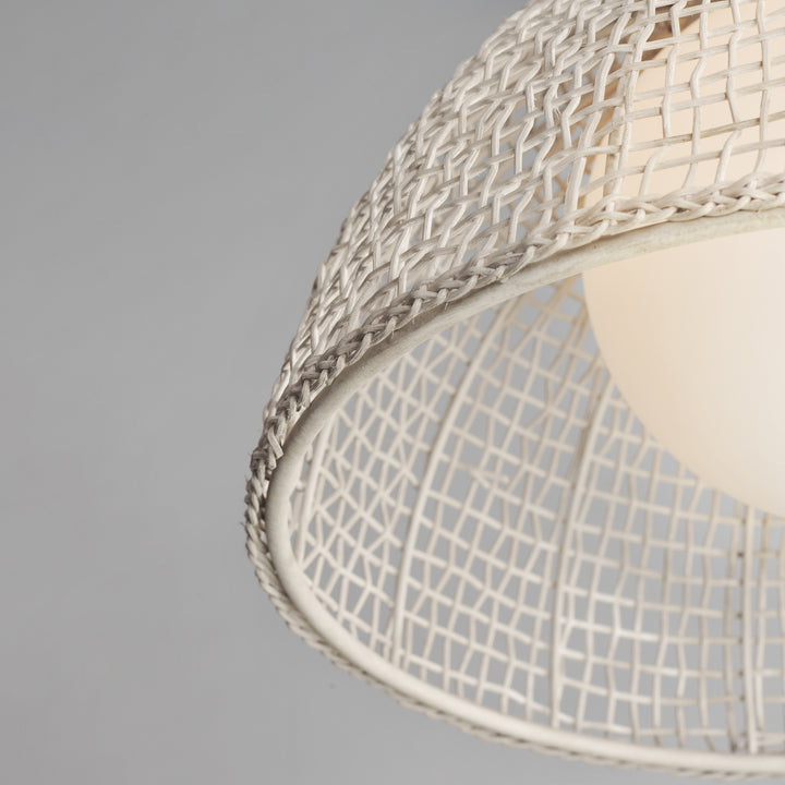 Cestino 1-Light Pendant WWT alternate view