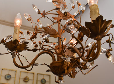 Elegante - Multiple Light Chandelier