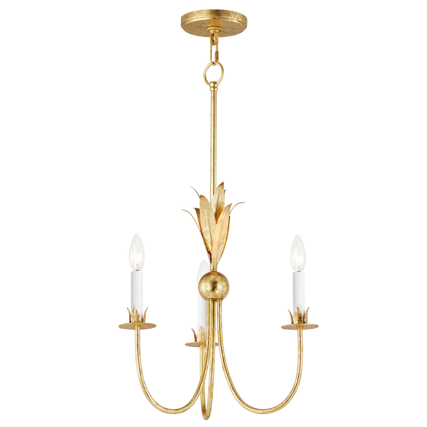 Paloma - Multiple Light Chandelier