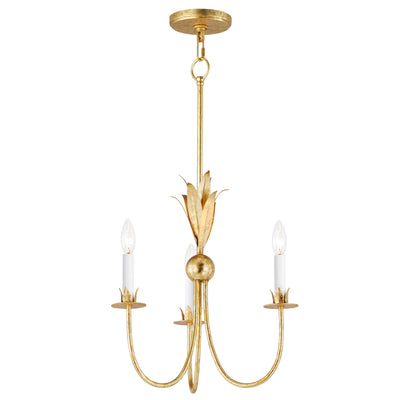 Paloma - Multiple Light Chandelier