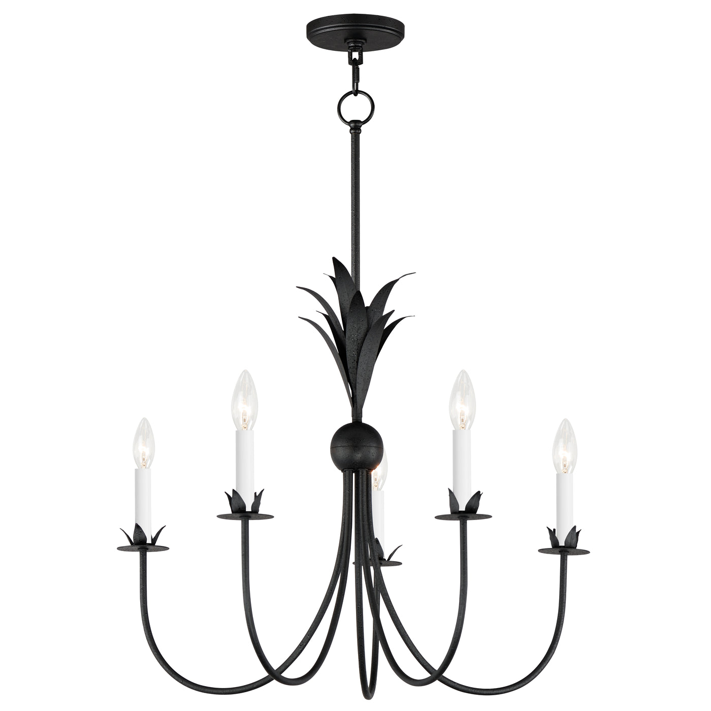 Paloma - Multiple Light Chandelier