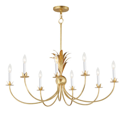 Paloma - Multiple Light Chandelier