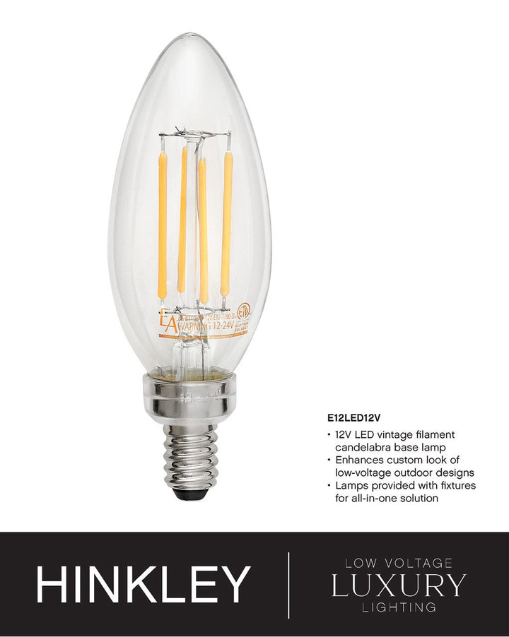 Rhodes Medium Hanging Lantern
