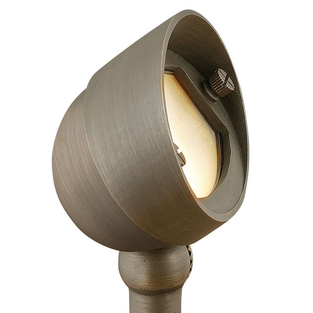 Hardy Island Accent Spotlight