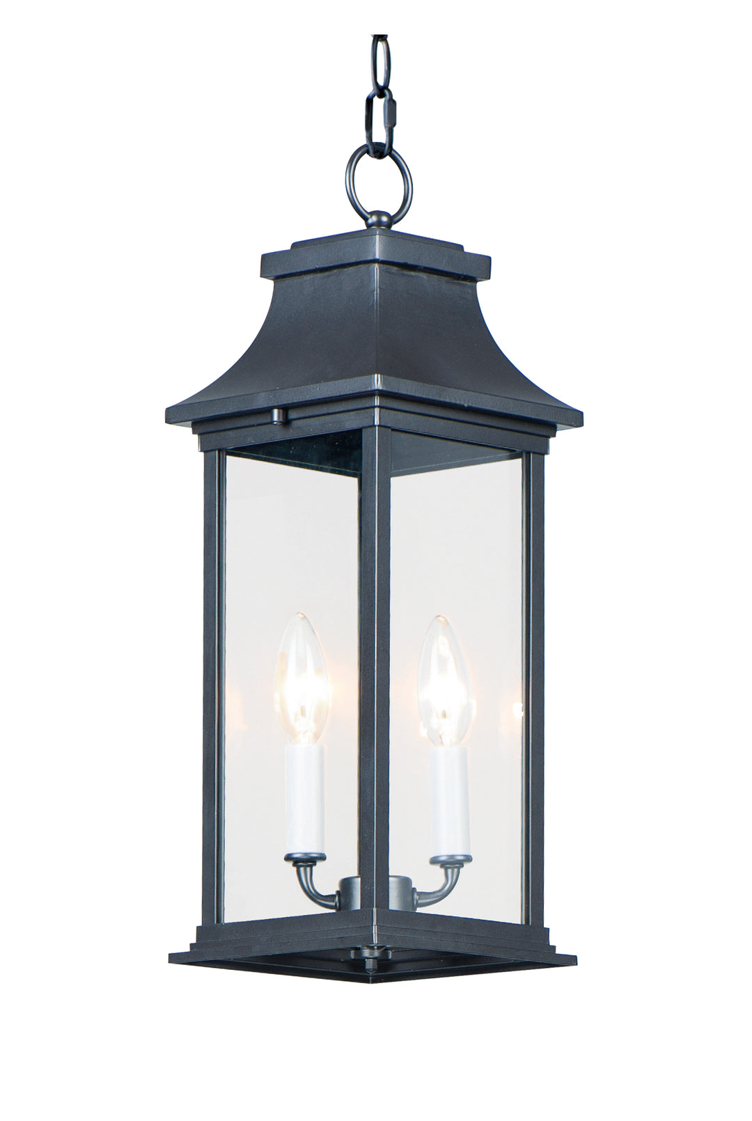 Vicksburg 2-Light Outdoor Hanging Lantern Black