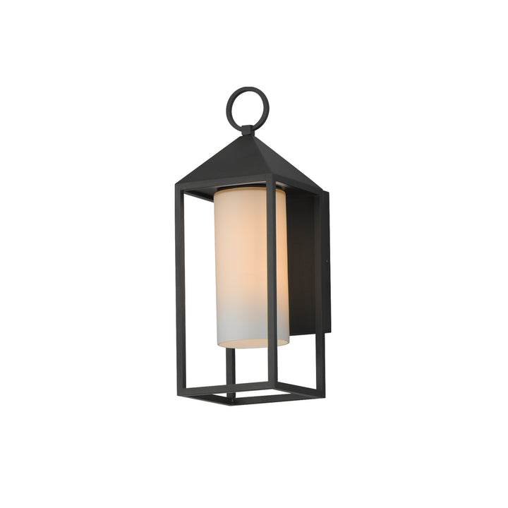 Aldous 1-Light Outdoor Sconce Black