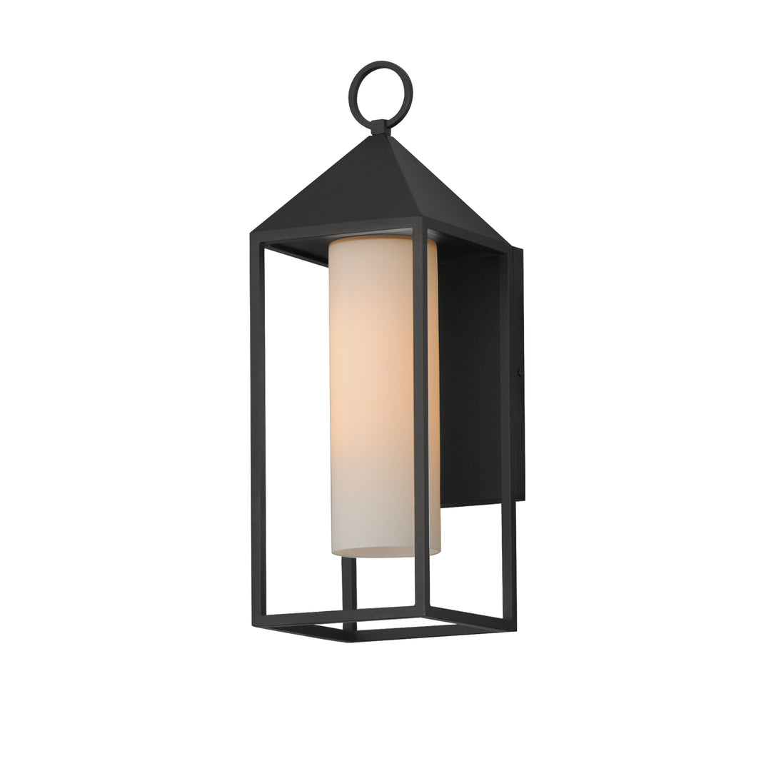 Aldous 1-Light Large Outdoor Sconce Black