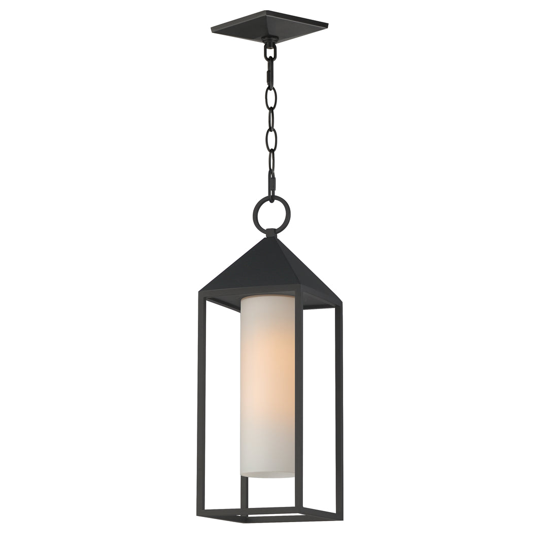 Aldous 1-Light Outdoor Pendant Black