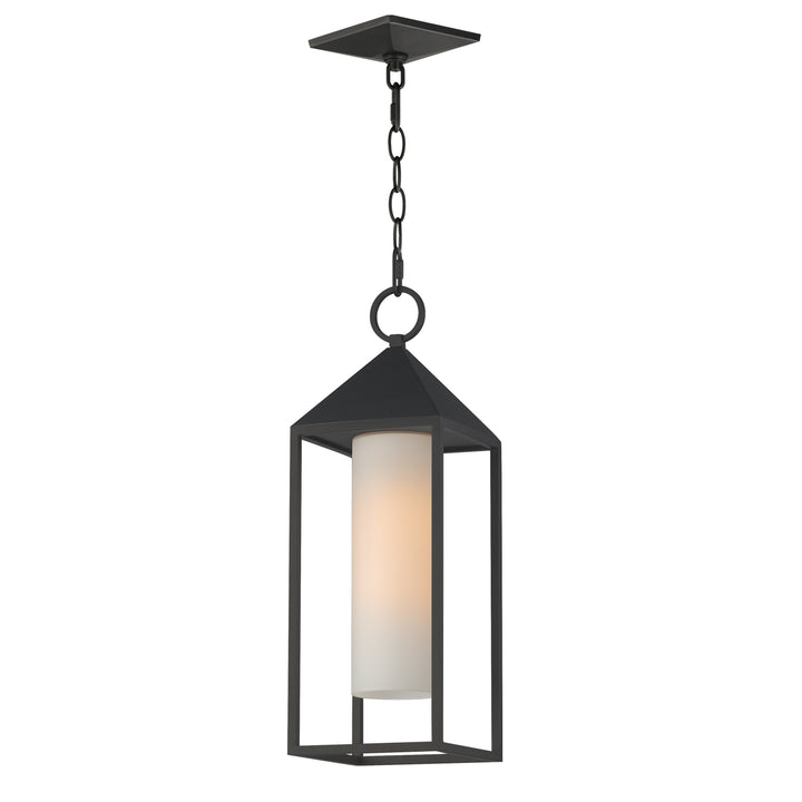 Aldous 1-Light Outdoor Pendant Black