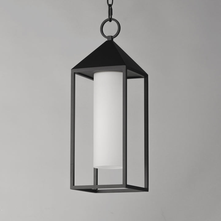 Aldous 1-Light Outdoor Pendant Black alternate view