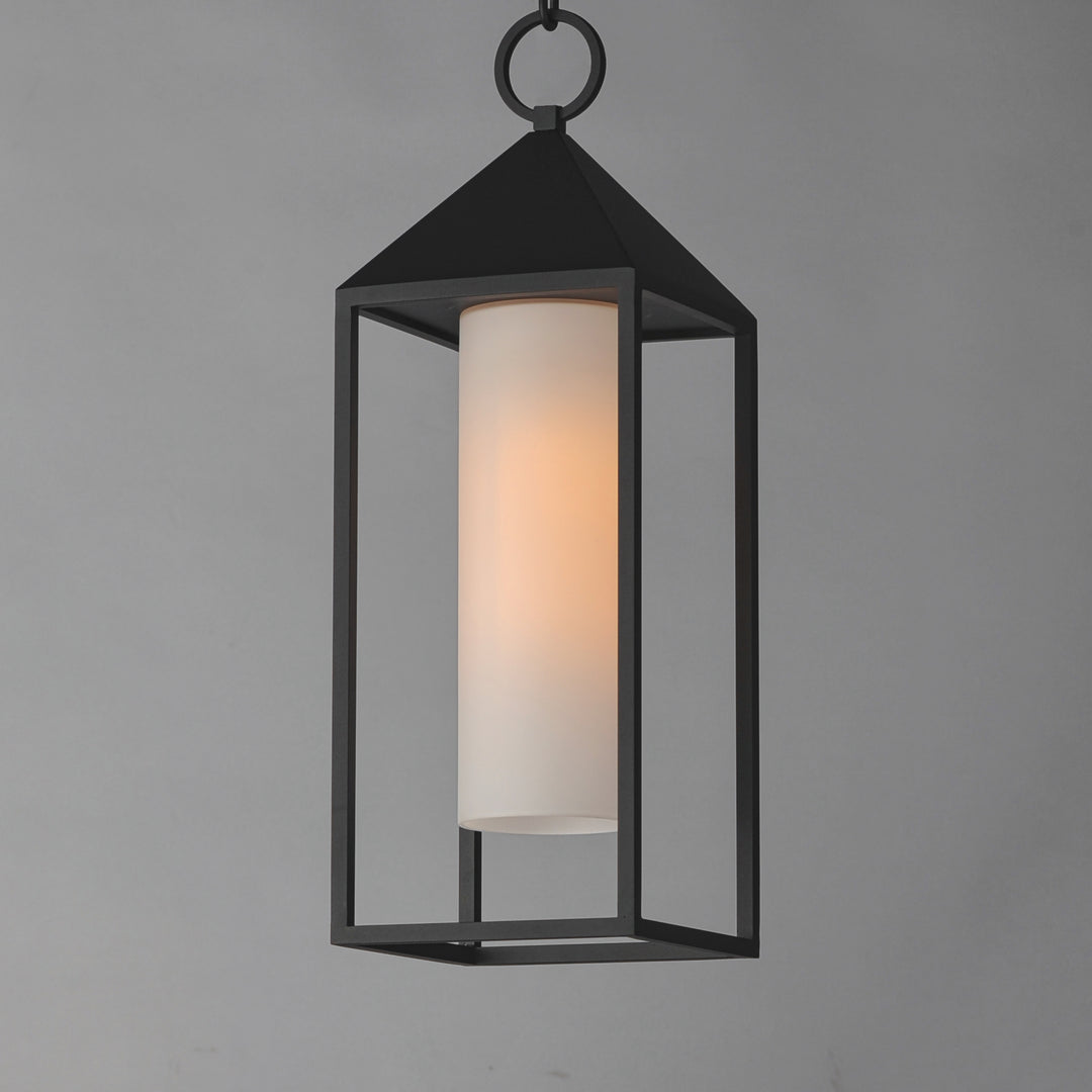 Aldous 1-Light Outdoor Pendant Black alternate view