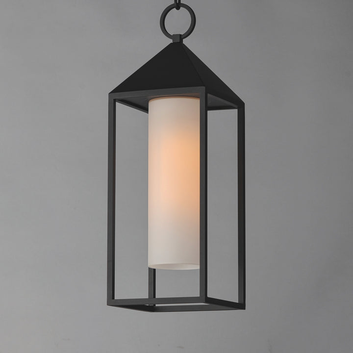 Aldous 1-Light Outdoor Pendant Black alternate view
