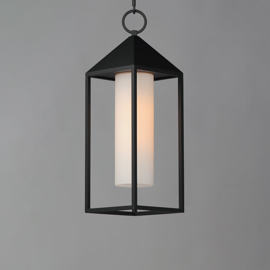 Aldous 1-Light Outdoor Pendant Black alternate view